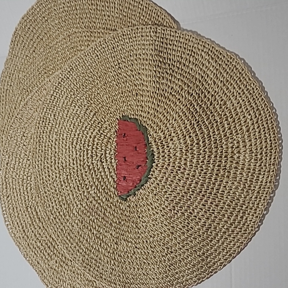 Braided Watermelon Place Mats (4)